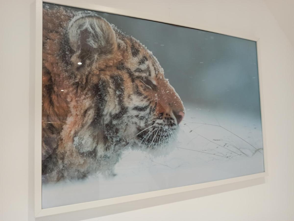 A 4 Min Du Zoo De Beauval La Maison A Partager Ch4 2Eme Etage Saint-Aignan  Buitenkant foto