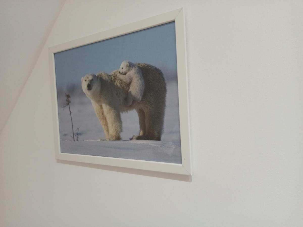 A 4 Min Du Zoo De Beauval La Maison A Partager Ch4 2Eme Etage Saint-Aignan  Buitenkant foto