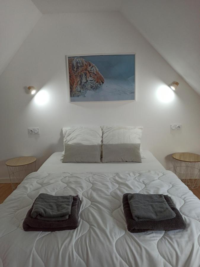 A 4 Min Du Zoo De Beauval La Maison A Partager Ch4 2Eme Etage Saint-Aignan  Buitenkant foto